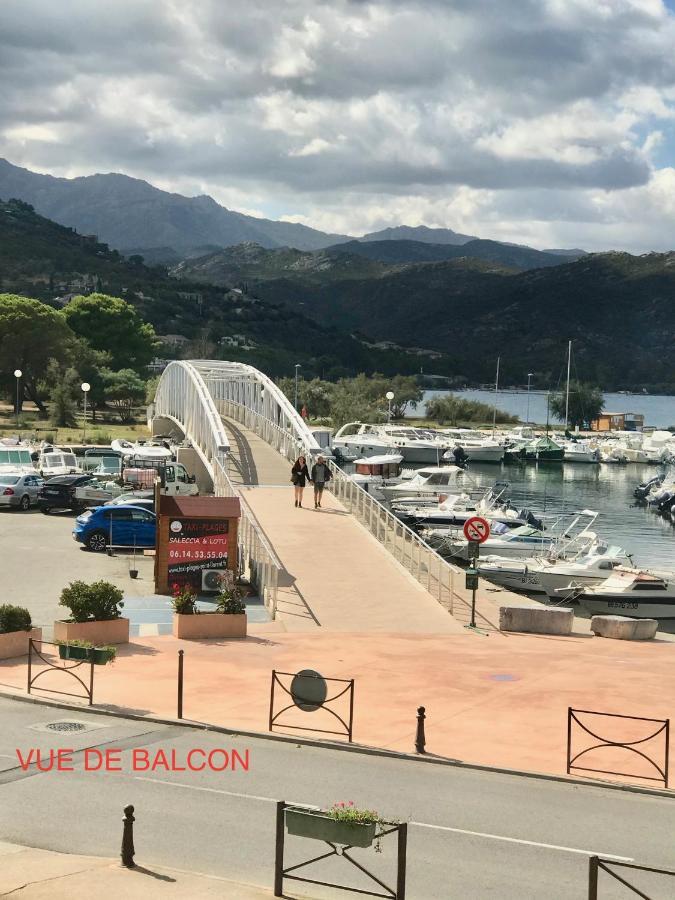 Appartement Plein Centre Saint Florent Face Au Port Экстерьер фото